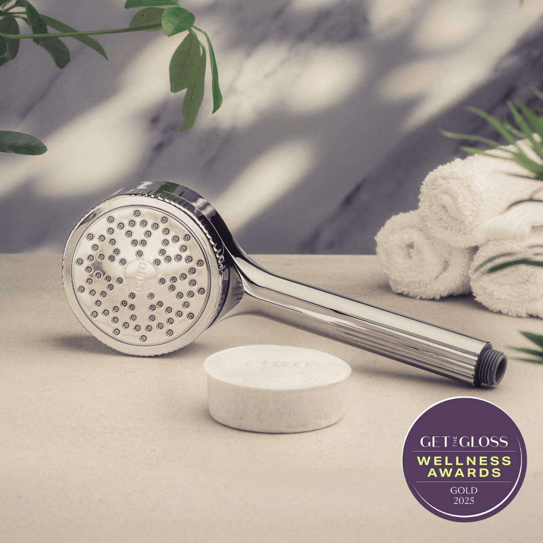 Filtered Shower Head