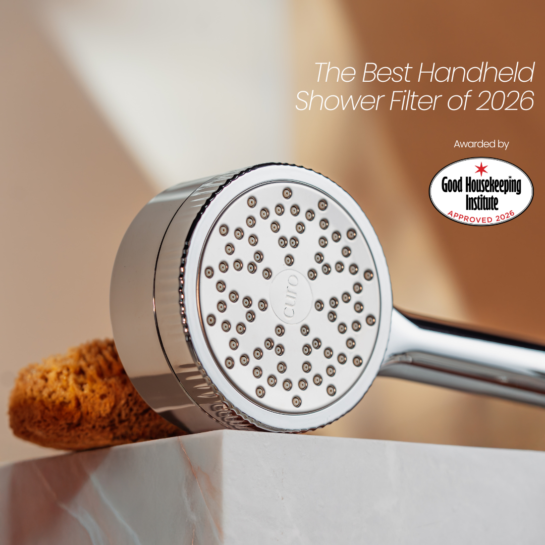 Filtered Shower Head