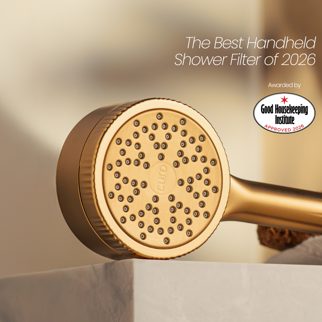 Filtered Shower Head