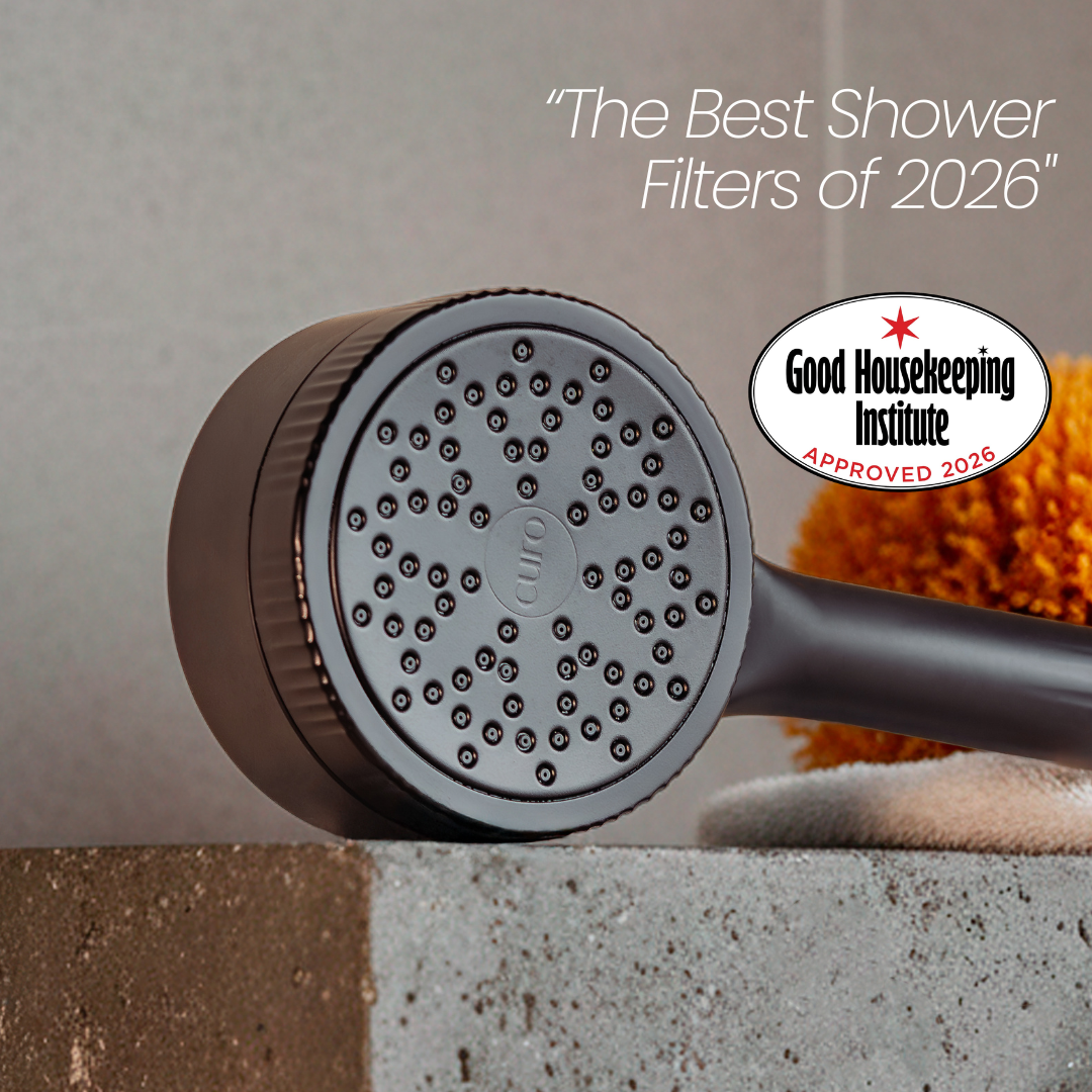 Filtered Shower Head