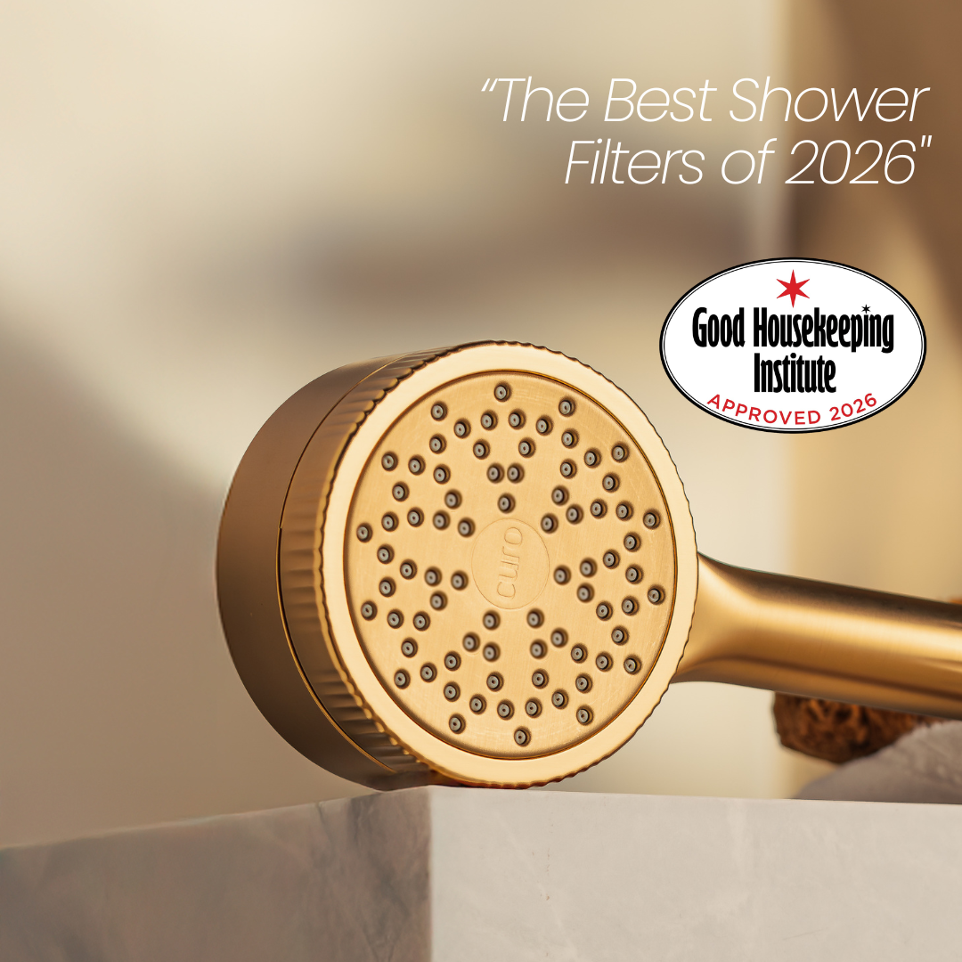 Filtered Shower Head